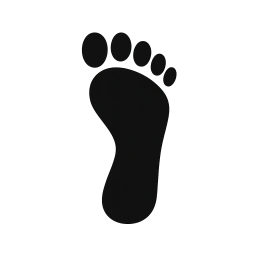 Sole Understanding Reflexology